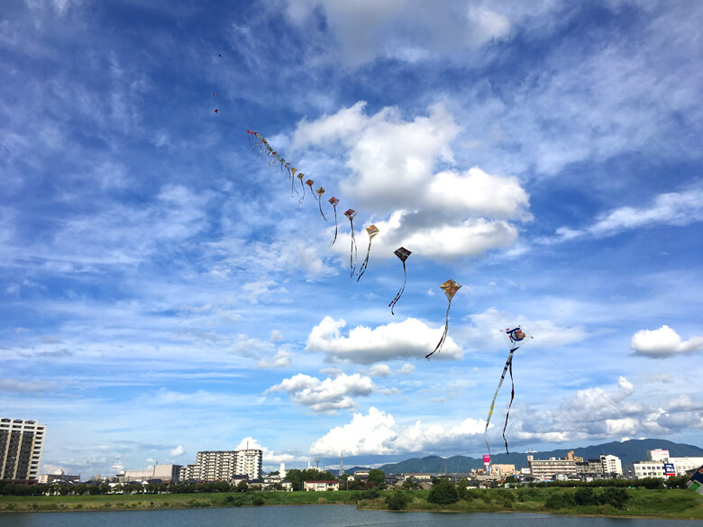 狭山池の青空へ連凧