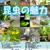 虫の謎を探る昆虫展 昆虫の魅力