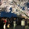 かんさい情報ネット ten. | 読売テレビ