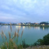 夜の狭山池とススキ