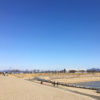 青い空と連凧