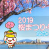 『大阪狭山市-桜まつり春2019-夜桜ライトアップ』2019年3月23日から4月5日【狭山池イベント】